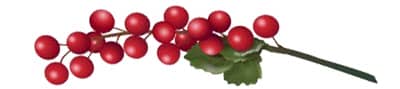 Winter-2017_holly