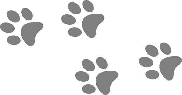 winter-2017-dog-prints